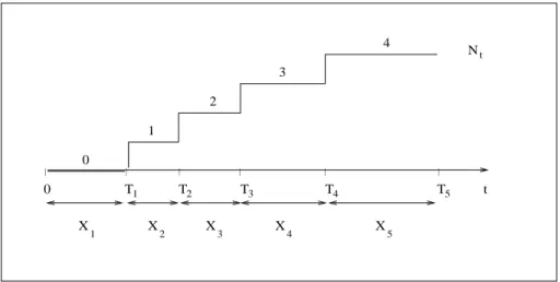 Fig. 1.1: Exemple d'une trajectoire du processus de defaillance.