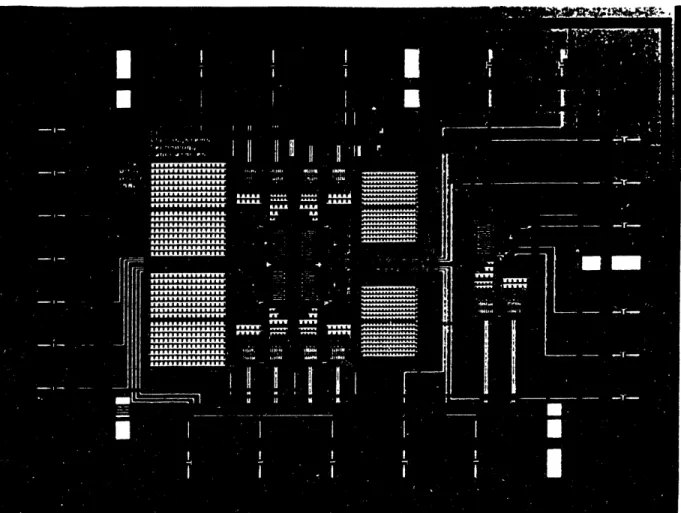 Figure  4.2:  Die  photograph  of test  chip