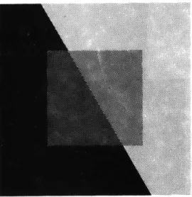 FIG.  1.9  CONTINUITY  OF  BOUNDARY  LINE