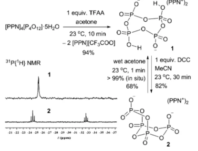 Figure 1. Solid-state molecular structures of [P 4 O 12 H 2 ] 2− (1) and [P 4 O 11 ] 2− (2) with ellipsoids at the 50% probability level.