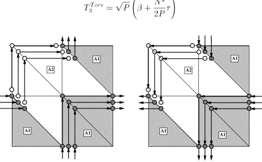 Fig. 2.16 - Partition complementaire du tore avec des chemins TCh sur les liens orthogonaux.