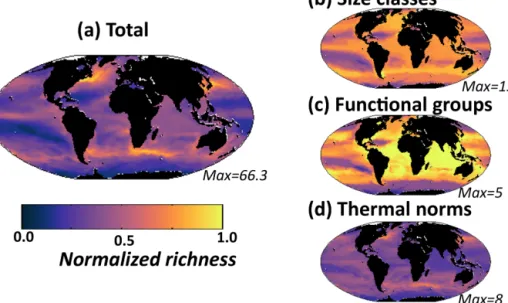 Figure 8. Model diversity measured as annual mean normalized richness in the surface layer