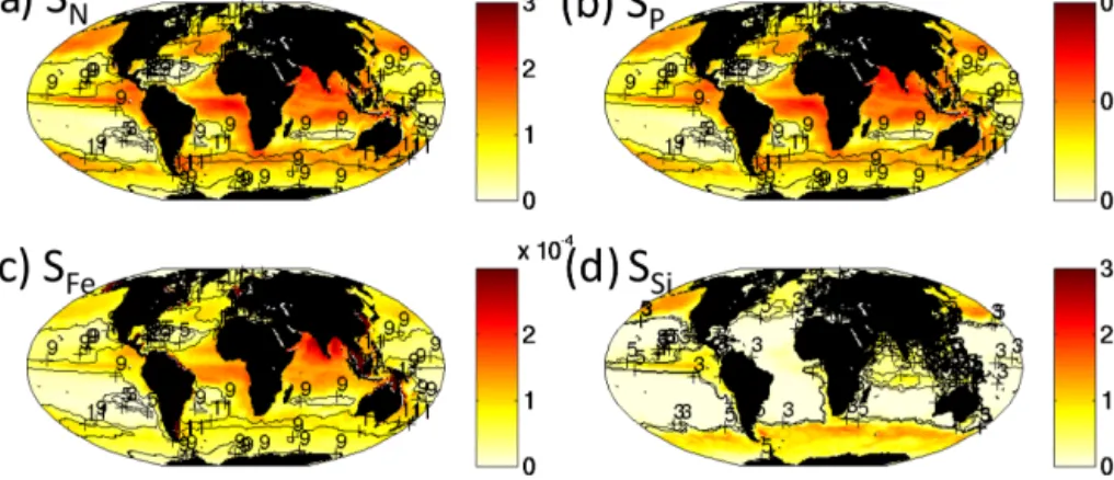 Figure 9. Model rate of supply of nutrients into the top 50 m. Supply rate of (a) dissolved inorganic nitrogen (mol N m −2 yr −1 ), (b) phosphate (mol P m −2 yr −1 ), (c) iron (mol Fe m −2 yr −1 ) and (d) silicic acid (mol Si m −2 yr −1 )