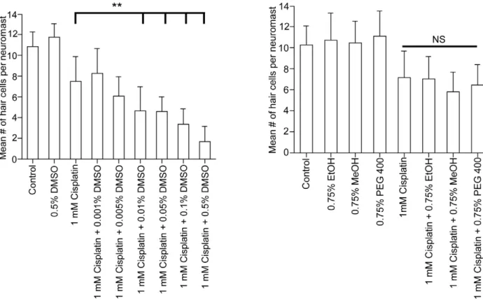 Figure 5. Other organic solvents do not exacerbate the ototoxic effects of cisplatin. Brn3c-GFP zebrafish were treated with 0.75% ethanol (EtOH), 0.75% methanol (MeOH), or 0.75% polyethylene glycol 400 (PEG 400) in the presence or absence of 1 mM cisplatin