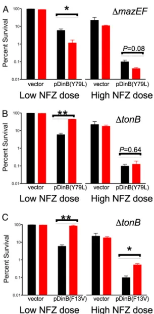 Fig. 4. The toxin-antitoxin module mazEF and the iron import protein tonB modulate the toxicity of DinB(Y79L) and DinB(F13V)