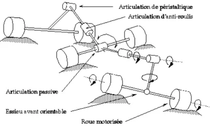 Fig. 2.2 - Description schematique du fonctionnement du systeme arti- arti-cule du ch^assis de A .