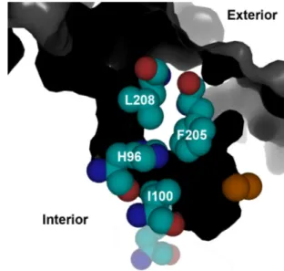 Figure 2.1. View of the active site pocket of ToMOH  from the substrate access channel