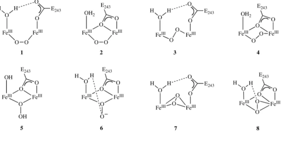 Figure 4. Possible Structures for the Peroxodiiron(III) Species of MMOH. 