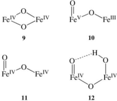 Figure 5. Possible structures for {Fe 2 O 2 } 4+  core of Q. 