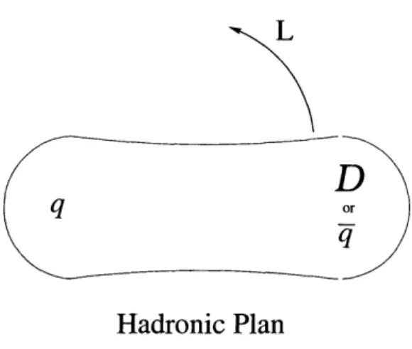 Figure 2-2: The  typical  rotating  model for any hadron.  Here &#34;D&#34; stands  for diquark.