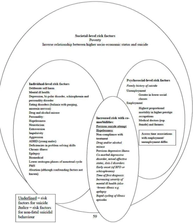 Figure 1 : Facteurs de risque de comportements suicidaires (décès et TS) dans la population générale