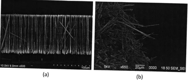 Figure  3.3:  (a)  A  cross  section  image  of a  wafer  containing  Si  nanowires  synthesized  for  this study