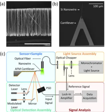 FIG. 2. Sample preparation and measurement system using a bilayer cantilever.