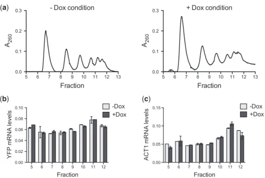 Figure 7. Polysome proﬁles of aptamer-containing mRNA indicate regulation is independent of translation initiation