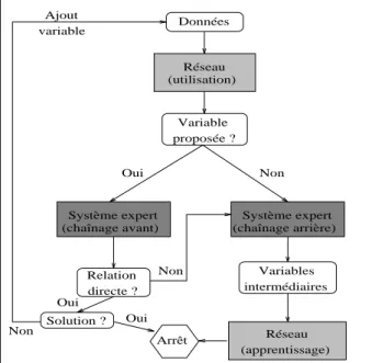 Fig. 2.7 - Schema d'interaction inter-modules dans le cas du systeme hybride de Gutknecht et Pfeifer [1990]
