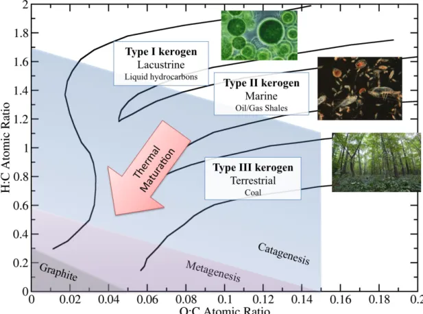 Figure 1. Van Krevelen diagram (modified from [6]) highlighting the biological origin of each  kerogen type