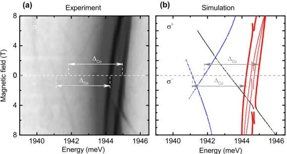 FIG. 3. (a) Polarization-resolved PL intensity map of a neutral exciton in a CdTe/ZnTe QD with a single Co 2+ ion as a function of the magnetic field in the Faraday configuration at T = 1.5 K