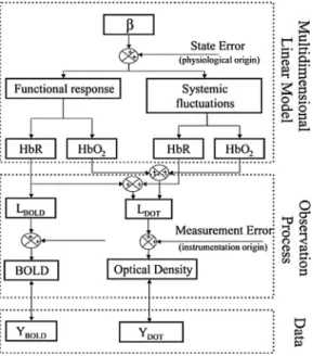 Fig. 2 Basis functions in linear model. A set of spatial and temporal basis functions are used to regularize the model estimates of evoked and systemic hemodynamic changes