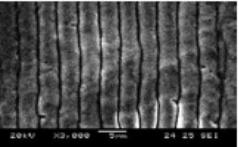 Figure 2 SEM showing the planar Bragg gratings fabricated on copper substrate.