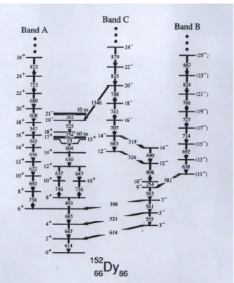 Fig. 2.6 – Bandes triaxiales normalement d´eform´ees du noyau 152 Dy [Smi00].