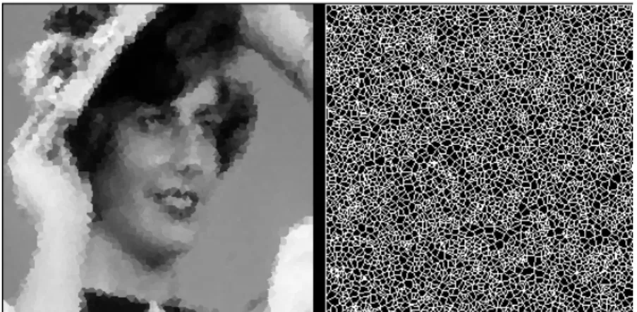 Fig. 22 - Partitionnement non adaptatif avec 4000 polygones de Voronode l'image