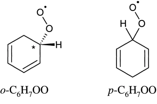 Figure  1-2:  Structures  of  the  cyclohexadienylperoxyl  radicals.  Note:  the  ortho isomer  contains  a  chiral center  (labeled with  an asterisk)  and  exists as two enantiomers