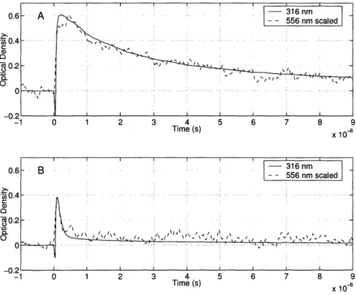 Figure  2-4:  Transient  absorptions  measured  using  the  ultraviolet  and  visible bands  of the  cyclohexadienyl radical  in cyclohexane solution  (.4M  1,4-C 6 H 8 and  0.1M DTBP,  T  =  298K)