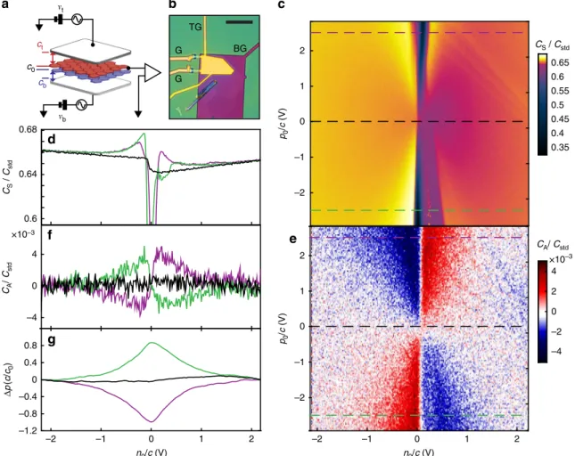 Fig. 1 Layer polarization of bilayer graphene at zero magnetic ﬁ eld. a Measurement schematic showing geometric gate capacitances c t and c b and interlayer capacitance c 0 