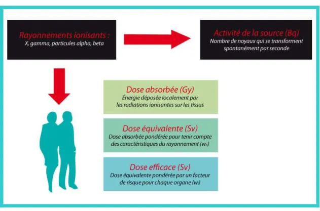 Figure 2 : Illustration des différentes unités de mesure des rayonnements ionisants 