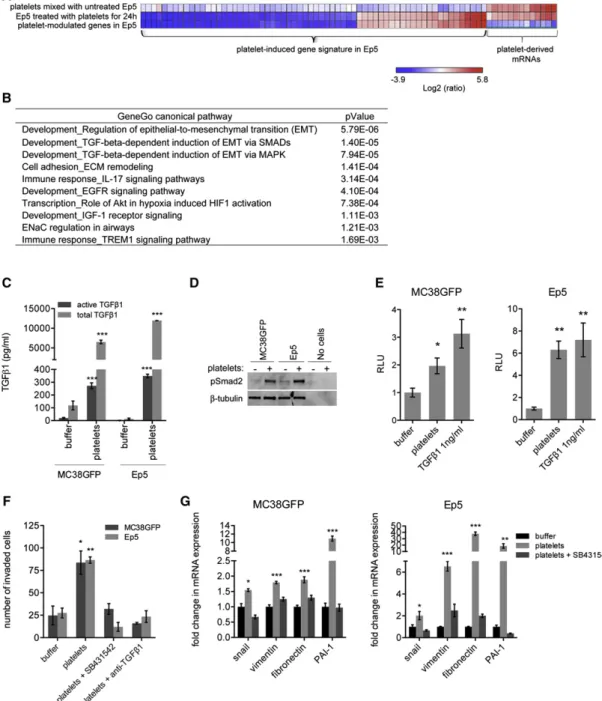 Figure 2. Platelet-Induced Gene Expression Signature Reveals Increased Expression of Prometastatic Genes and Activation of the TGF b Pathway in Tumor Cells