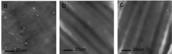 Fig. 4. AFM images of ( A ) PVC before transfer; ( B ) PVC after applying the transfer procedure; and ( C ) graphene/copper foil before transfer