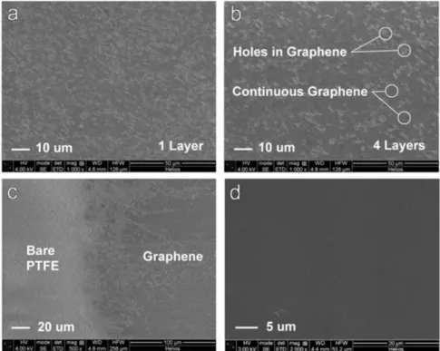 Fig. 7. ( A ) SEM images of one-layer graphene on a PTFE ﬁ lter. The ﬁ lm appears to be discontinuous and therefore nonconductive