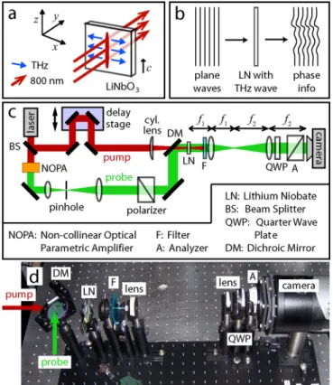 Fig. 1. (a) The generation geometry: the pump laser pulse propagates or- or-thogonal to the slab surface, and the generated terahertz wave propagates perpendicularly to the pump pulse in the plane of the slab