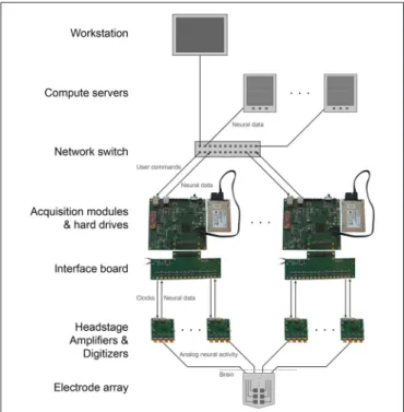 FIGURE 4 | Scalable DAQ system. Neural activity is detected by an array of electrodes and conducted over wires to headstages where it is amplified and digitized