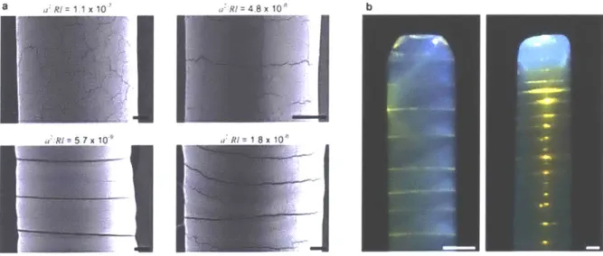 Figure S2.6  Crack patterns.  (a) Clockwise  from  top left:  crack  patterns  in  sections  of structures  for