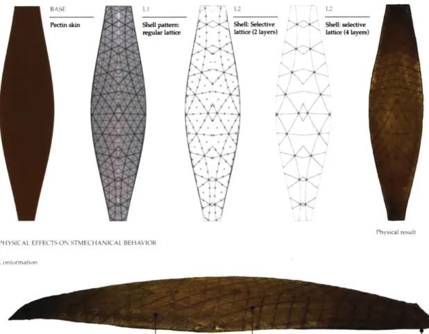 Figure  1.7  - Skin-shell  interplay  in  relation  to  toolpath  geometry,  based  on  a  selectively  reinforced lattice