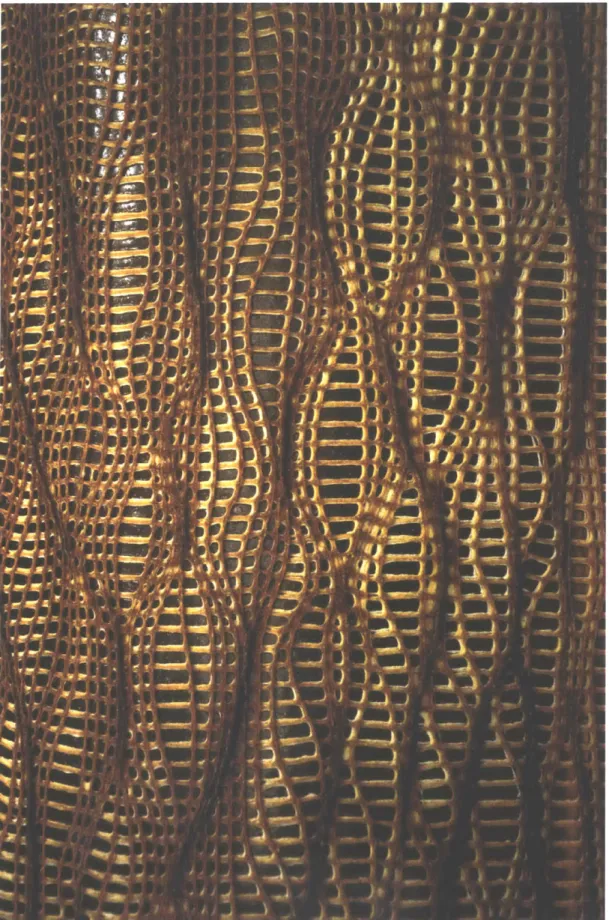 Figure  1.8  - Closeup of  the chitosan-cellulose  shell composite  on pectin  skin (35% pectin (w/v), 3% glycerin  (v/v) in water),  following  a  distorted  grid  toolpath