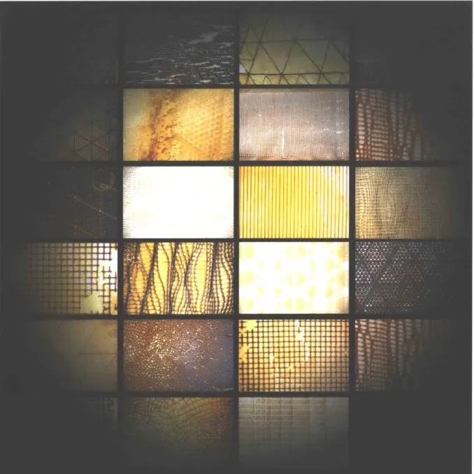 Figure  1.10  - Early  experiments  attempting  to control  mechanical  and  optical  properties  in skin-shell composites  by tuning the chemical properties  of hydrogels,  resulting in tunable  mechanical  and  optical properties  of skins and  shell  pa