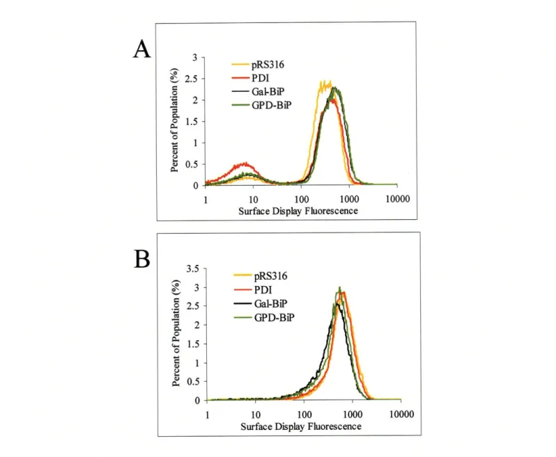 Figure 2.3.5-Chaperone  Expression  in Co-expressing  Cells.  High  levels of PDI and BiP expression  in co-expressing  cells have a beneficial  effect on D1.3  expression (A)  but little effect on BPTI expression  (B)  compared to wild-type  (pRS316)