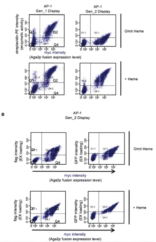 Figure 3-9.  Testing exogenous  heme  supplementation  prior to  EX-GFP incubation.  After 20- 20-24  hrs of induction,  heme  was  supplemented  or omitted  to  yeast cultures  for a final  concentration of  2  pM