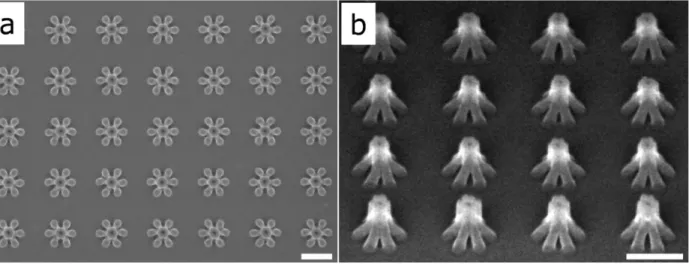 Fig.  S3.  SEM  image  of  an  array  of  cohered  220-nm-tall  PMMA  nanopillars:  (a)  top  view,  (b)  tilted  view