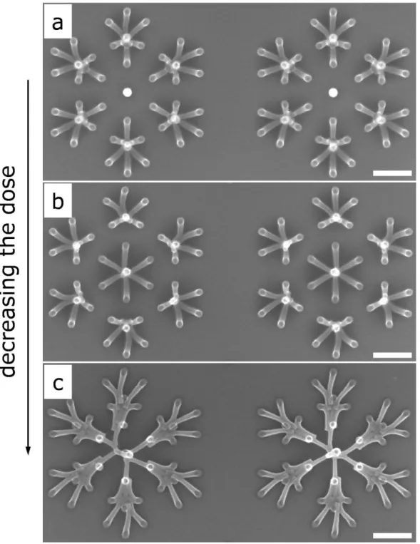 Fig. S5. Dynamic process of nanocohesion from non-uniform pillar arrays 