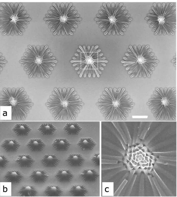 Fig.  S6:  Large  area  nanohills  cohered  from  61-element  negative  PMMA  nanopillar  arrays by capillary forces