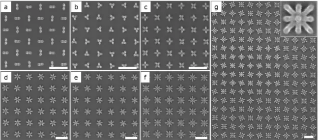 Figure 2. SEM images of ordered multi-element assemblies fabricated by capillary-force-induced nanocohesion