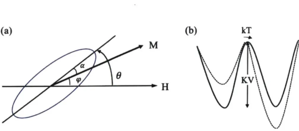 Figure  2-7  (a)  Schematic  of a prolate  spheroid  depicting  a  nanoparticle  with  uniaxial  magnetic  anisotropy in  the  presence  of an  external  magnetic  field  Hat an  angle  0  relative to  the  direction  of the  anisotropy  axis.