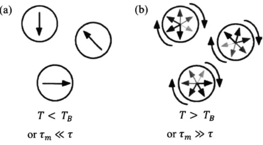 Figure 2-8 The  circles  depict three magnetic  nanoparticles,  and the  arrows represent  the net magnetization direction  in those particles