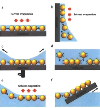Figure  3-1  Microsphere  lithography  strategies  (a)  drop-coating;  (b)  dip-coating;  (c)  spin-coating;  (d) electrophoretic  deposition;  (e)  self-assembly  at the  gas/liquid  interface;  (f)  floating-transferring  technique From  X