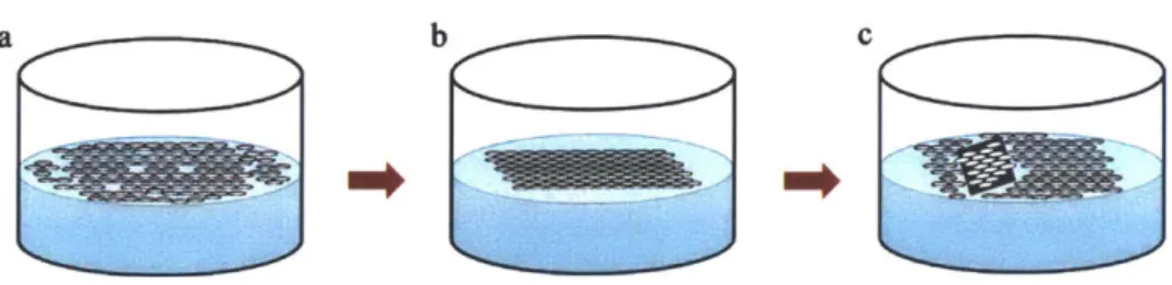 Figure  3-2  The  process  of the  self-assembly  of polystyrene particles