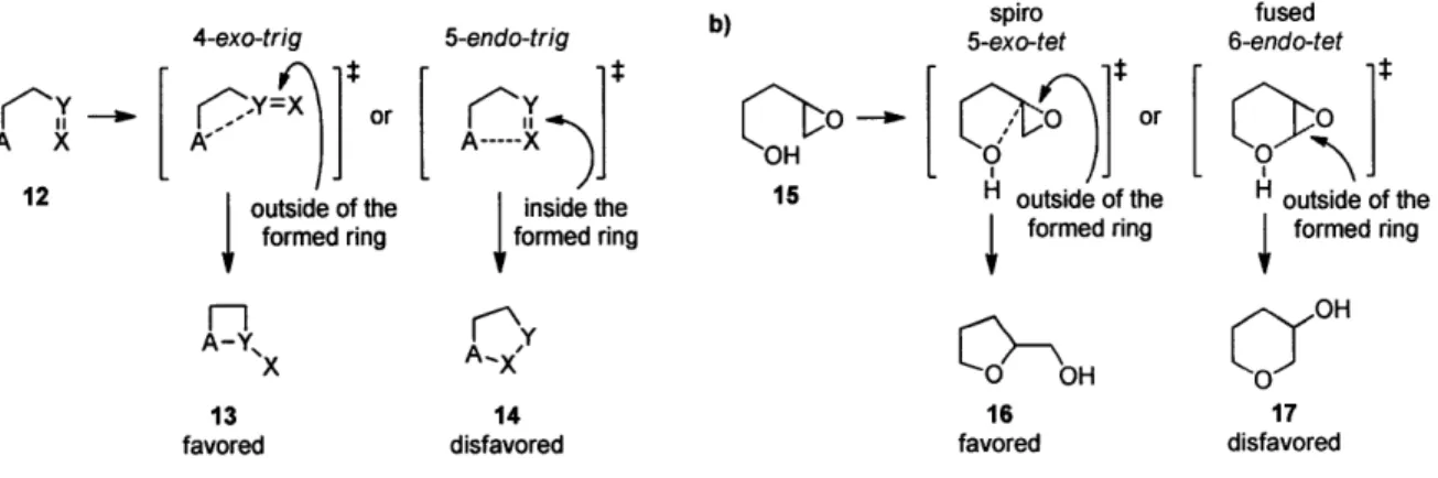 Figure 3.  Baldwin's rules:  (a)  general  classification.  (b)  in intramolecular  epoxide opening.