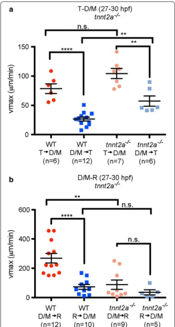 Fig. 4  Directionality of CSF movement is partially dependent on  heartbeat at early larval stage